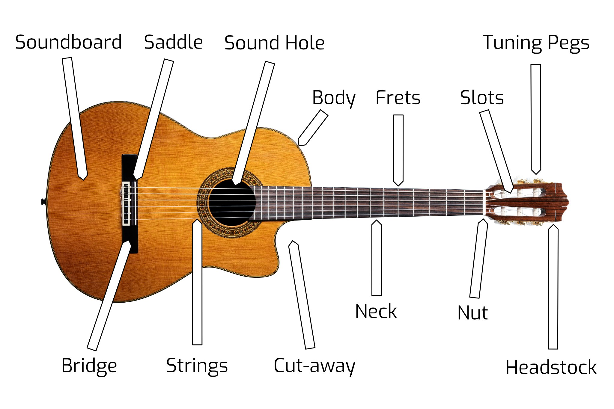 Anatomy of a Classical / Spanish Guitar