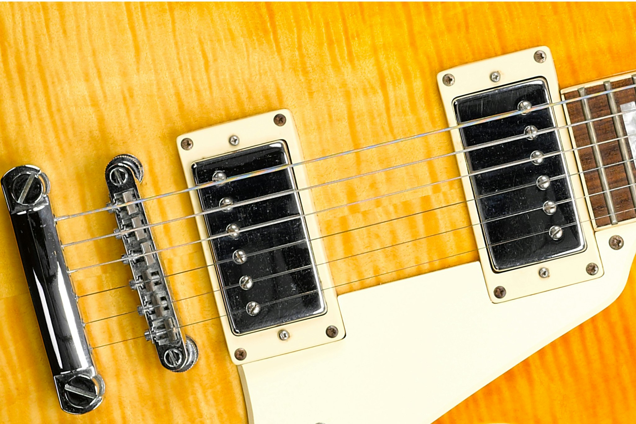 Learn the Anatomy of the Electric Guitar