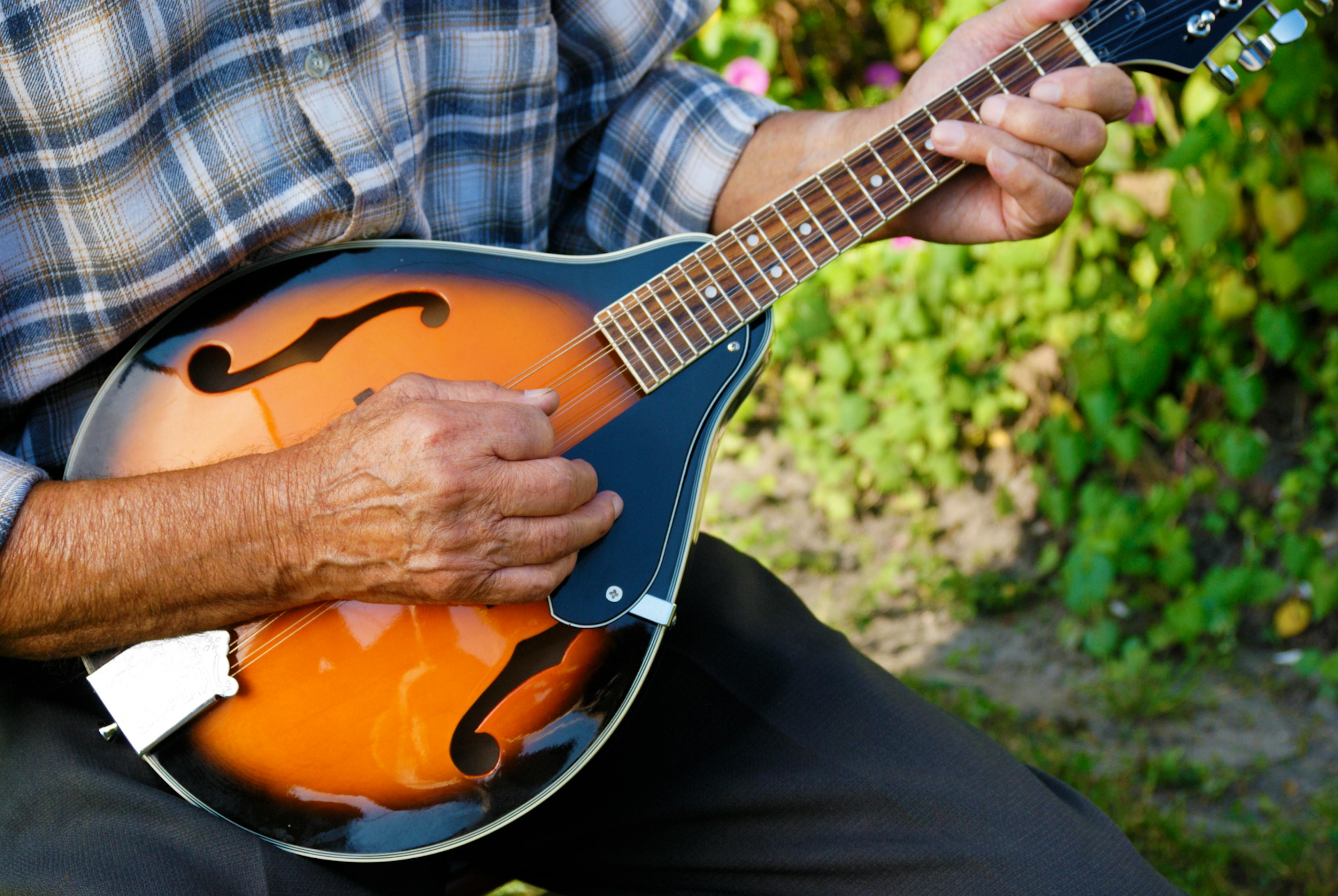 Learn to play Mandolin