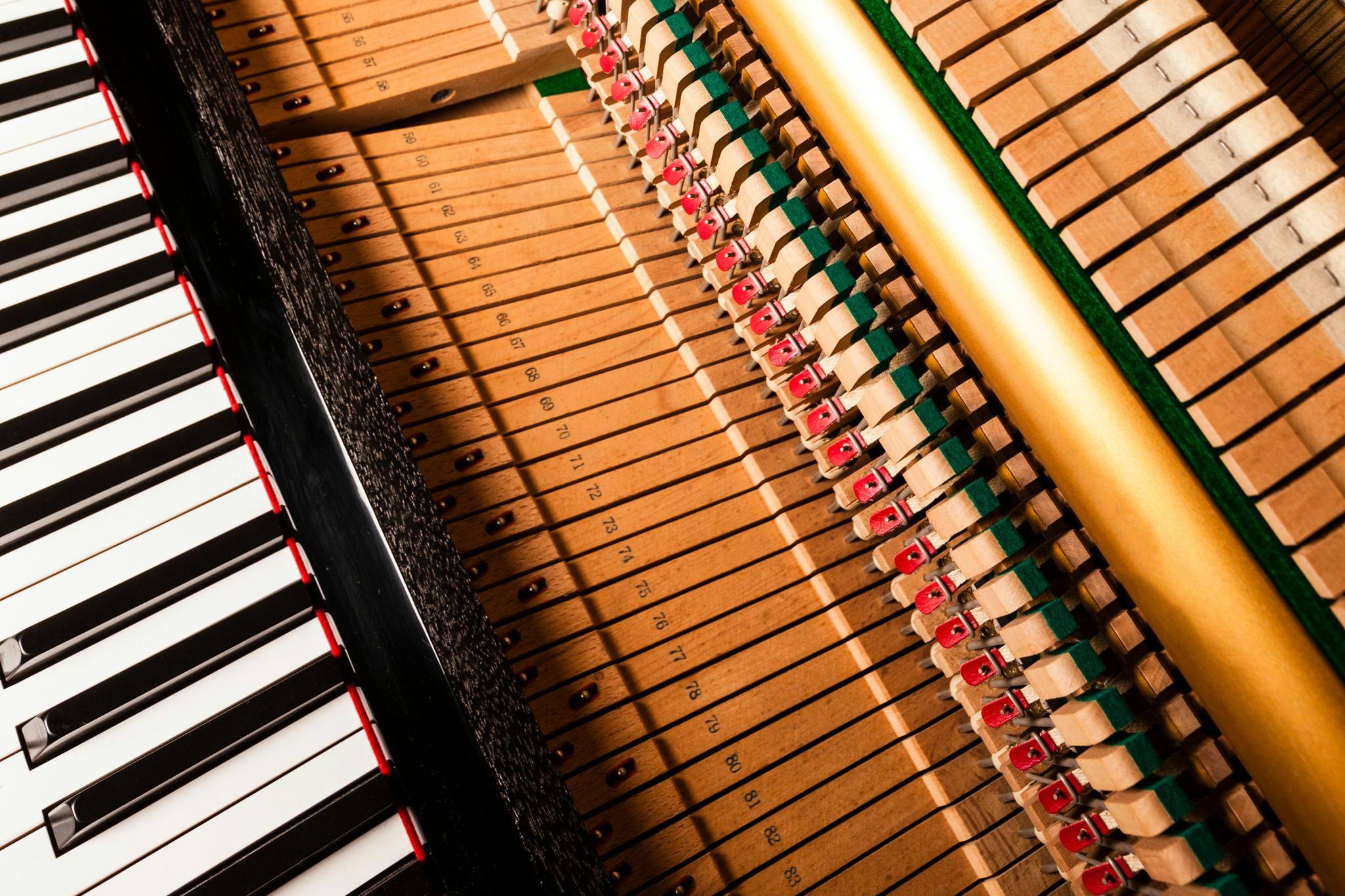 Learn the Anatomy of the Piano