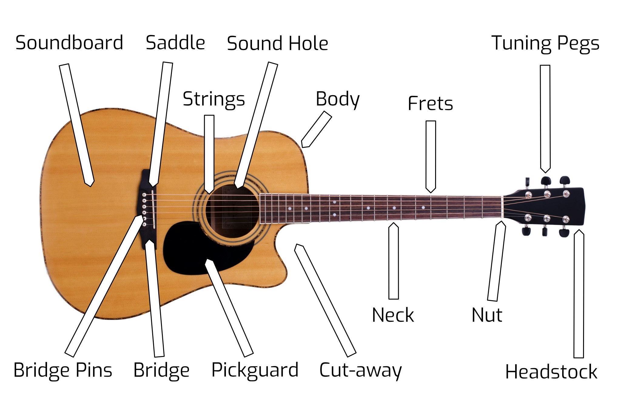 Anatomy of a Steel String Acoustic Guitar