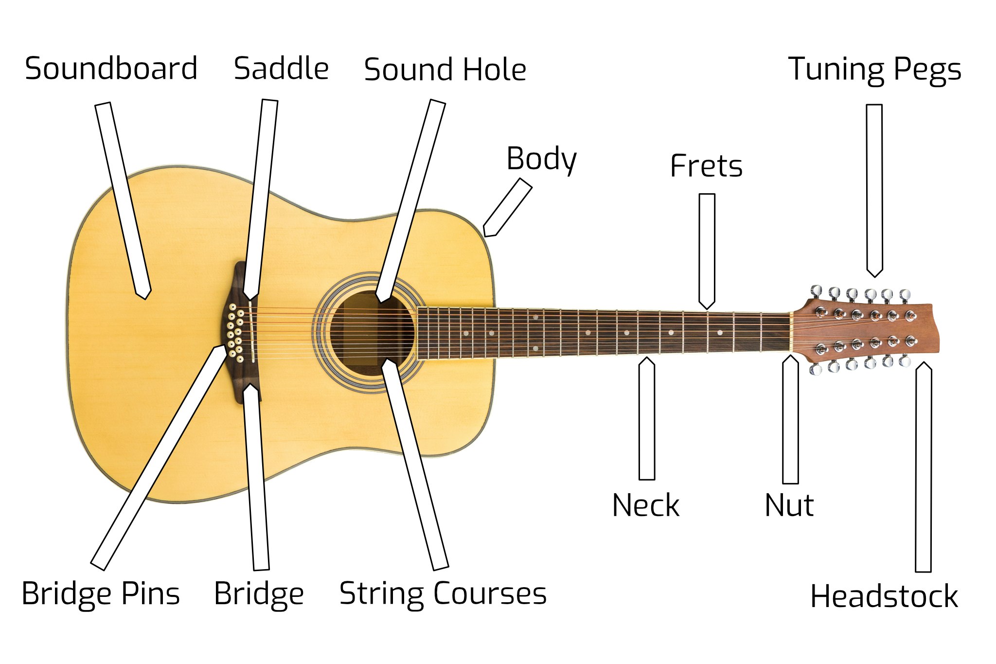 Anatomy of a Twelve String Acoustic Guitar