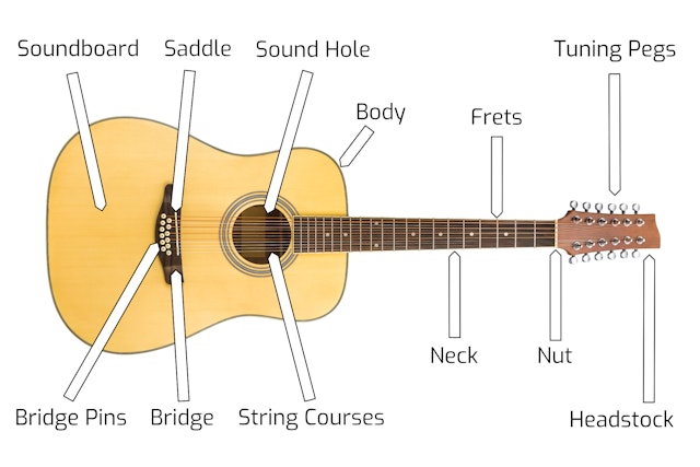 Learn the anatomy of the Acoustic Guitar - EverythingMusic.com