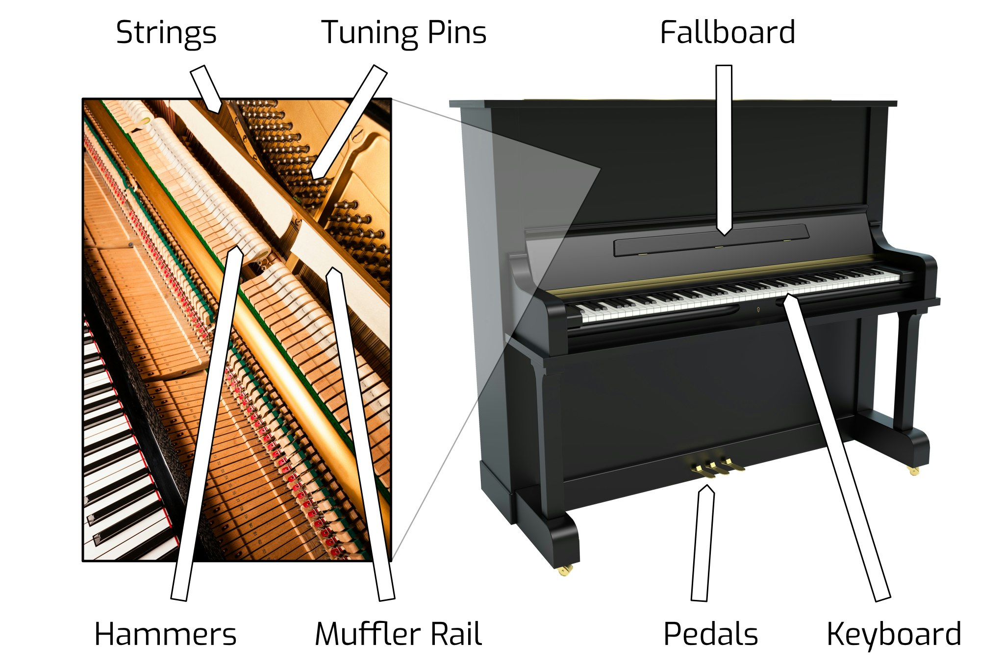 Anatomy of an Upright Piano